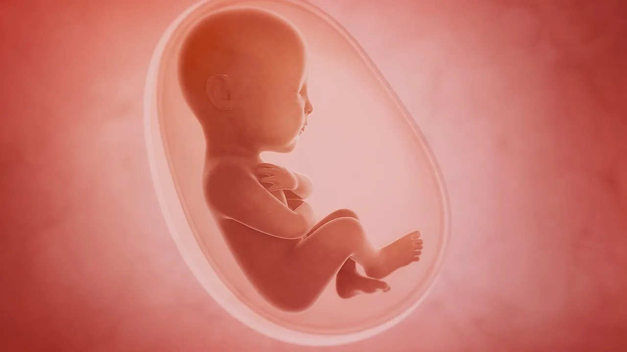 如何控制胎儿头部大小