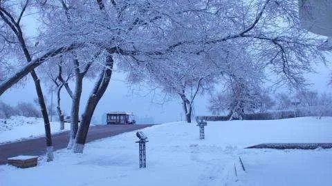 什么时候去哈尔滨比较好？