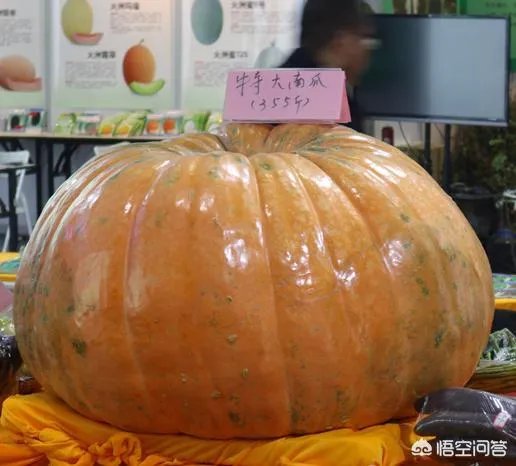 杨凌农高会有哪些新品种？