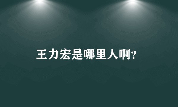 王力宏是哪里人啊？