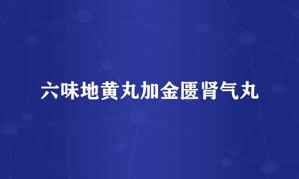 六味地黄丸加金匮肾气丸