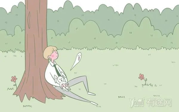 投档线是最低录取分数线吗 过了投档线就能录取吗