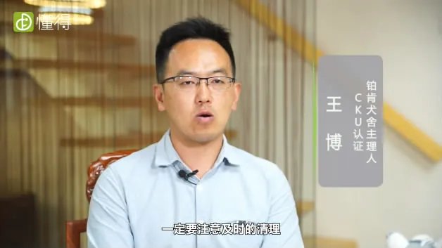 什么是卷毛比熊犬