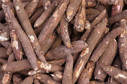 木薯是什么 快速了解木薯功效作用