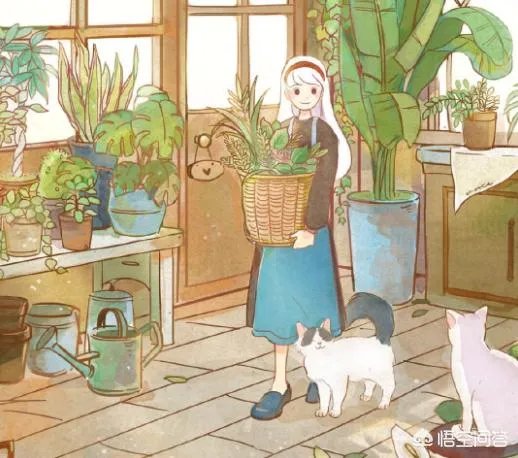 最快的减肥方法有哪些，如何让自己迅速瘦下来？