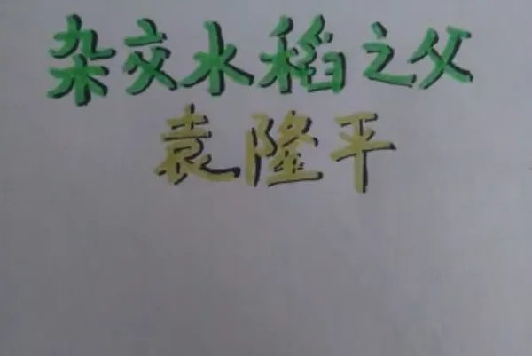 袁隆平手抄报怎么画图片大全