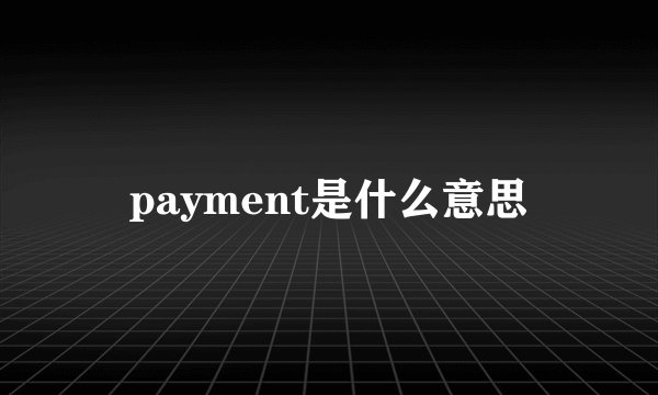 payment是什么意思