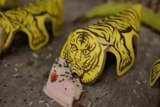 惊蛰有什么习俗？