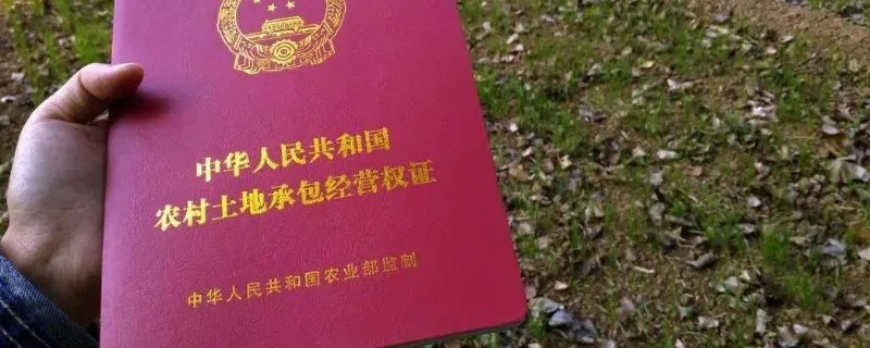 土地编号和土地证号的区别是什么