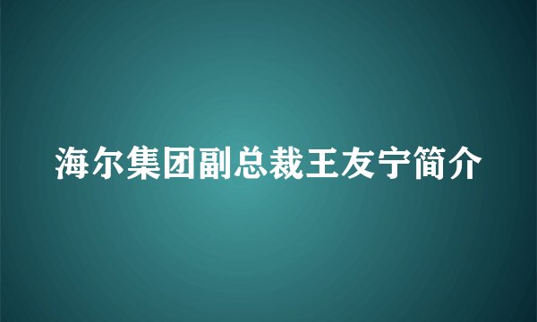 海尔集团副总裁王友宁简介