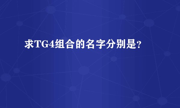 求TG4组合的名字分别是？