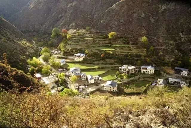 离开央视，藏族青年在海拔4000米打造云巅之家，潇洒！