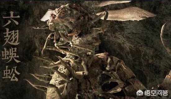 怒晴湘西中怒晴鸡怎么打不过六翅蜈蚣，它不是蜈蚣的克星吗？