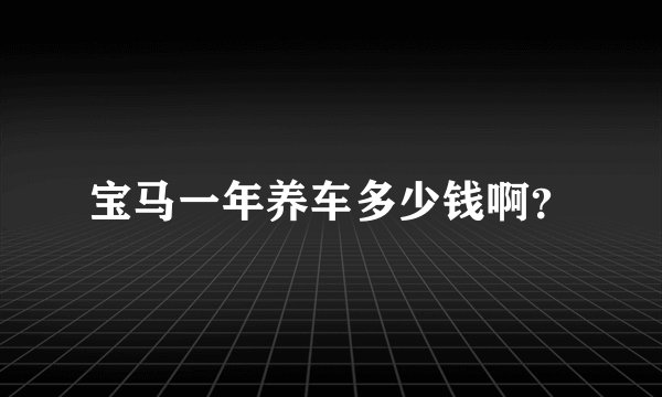 宝马一年养车多少钱啊？