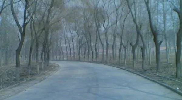 石家庄市里好玩的地方有哪些？