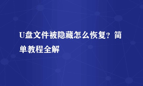 U盘文件被隐藏怎么恢复？简单教程全解