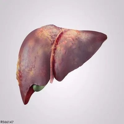 血吸虫肝病怎么治疗