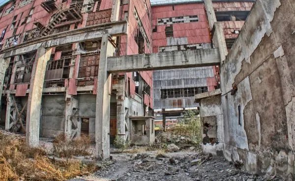 切尔诺贝利变异巨鼠真的存在吗？是否还存在其他变异生物？