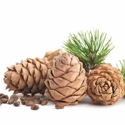 吃什么生发最快