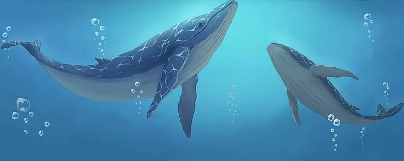 梦到落水什么征兆 梦见落水是什么预兆解梦