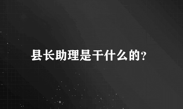 县长助理是干什么的?