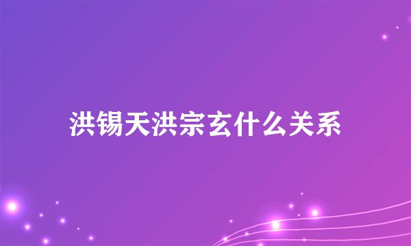 洪锡天洪宗玄什么关系