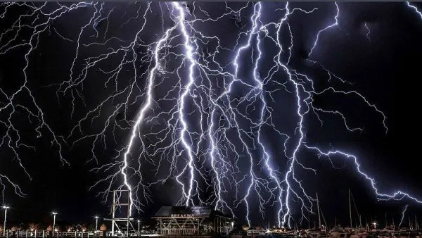 “造物无言却有情，每于寒尽觉春生。”出自哪首诗？