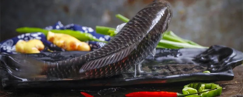 糟鱼的正宗做法 糟鱼怎样做