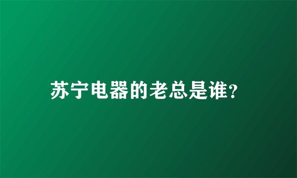 苏宁电器的老总是谁？