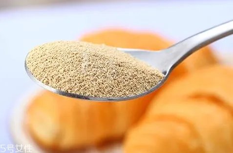 一斤面粉放多少酵母 比例视情况而定