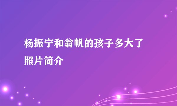 杨振宁和翁帆的孩子多大了 照片简介