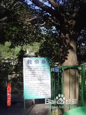 八里沟旅游攻略