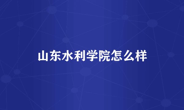山东水利学院怎么样