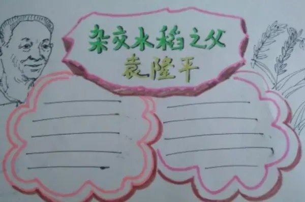 袁隆平手抄报怎么画图片大全