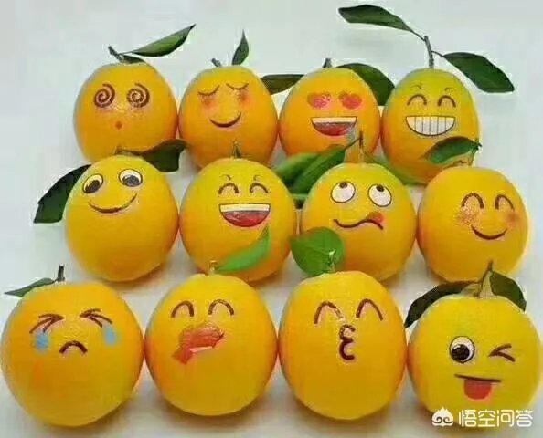 江西赣南脐橙和四川的