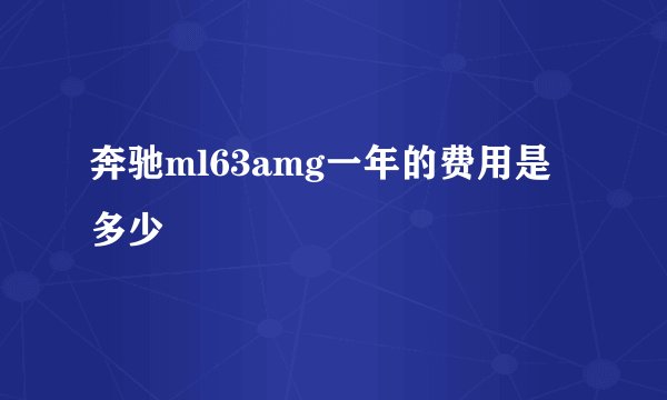 奔驰ml63amg一年的费用是多少