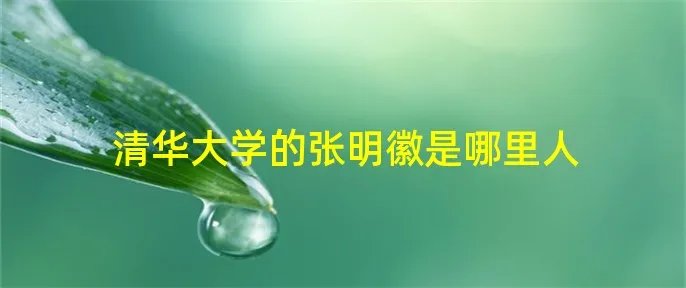 清华大学的张明徽是哪里人
