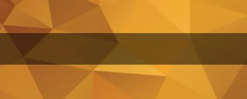 汉堡包这个英语单词的音标