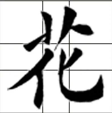 花的笔顺怎么写的