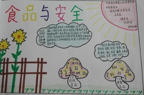 食品卫生手抄报整洁最新最全