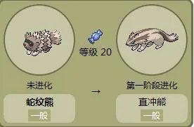 蛇纹熊进化顺序图？