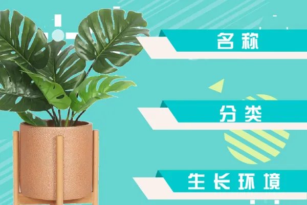 植物记录卡怎么写