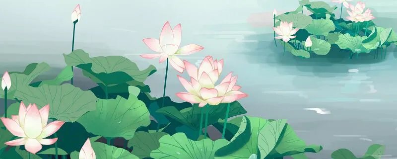 不解藏踪迹的解是什么意思 不解藏踪迹的解的意思是什么