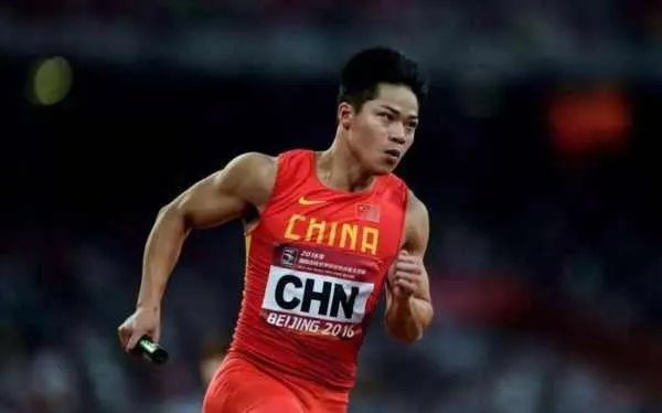 苏炳添是哪里人