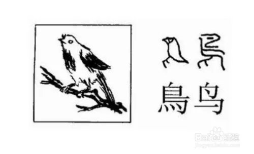 鸟的象形字怎么写