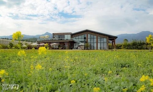 四年级上册绿豆的观察日记5篇