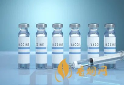 北京生物和科兴中维可以混打吗 北京生物和科兴中维哪个好