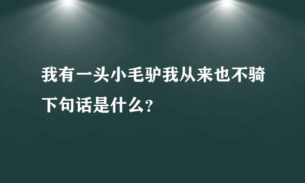 我有一头小毛驴我从来也不骑下句话是什么？