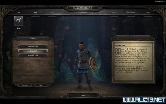 《永恒之柱》Beta版全种族及亚种图文一览 永恒之柱有哪些种族