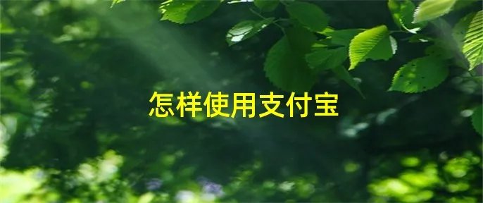 怎样使用支付宝